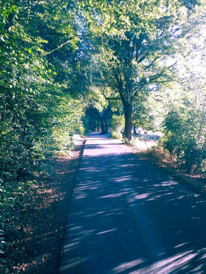 Au Havre Du Circuit Villa Malmedy Dış mekan fotoğraf