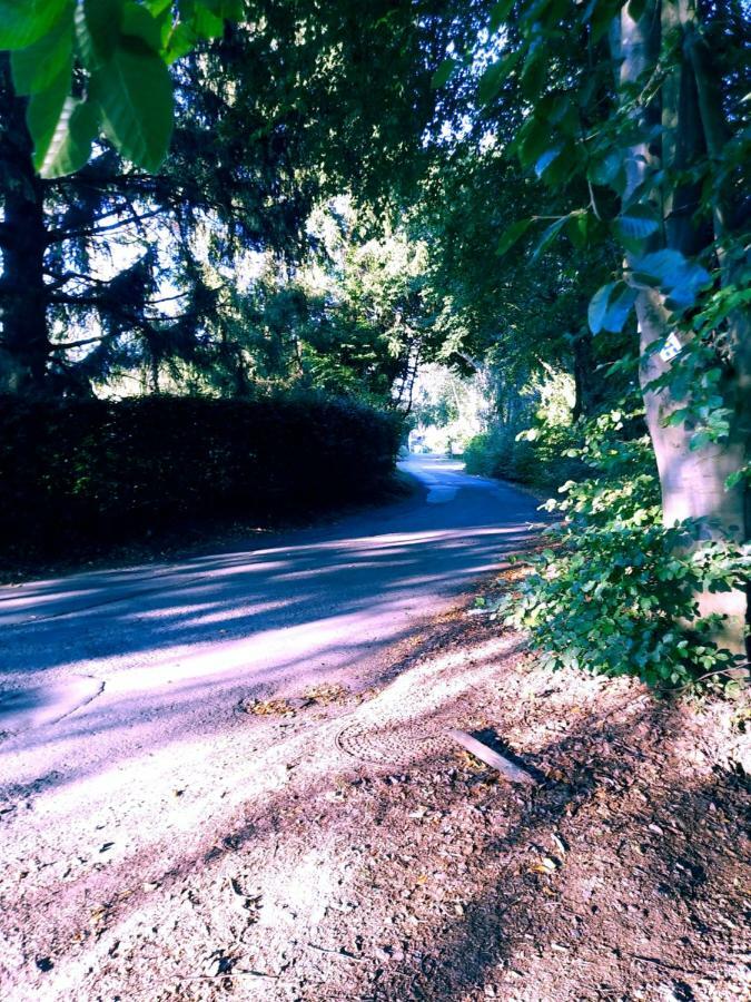 Au Havre Du Circuit Villa Malmedy Dış mekan fotoğraf