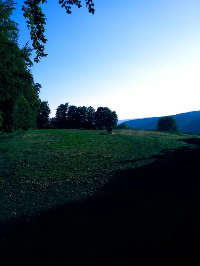 Au Havre Du Circuit Villa Malmedy Dış mekan fotoğraf